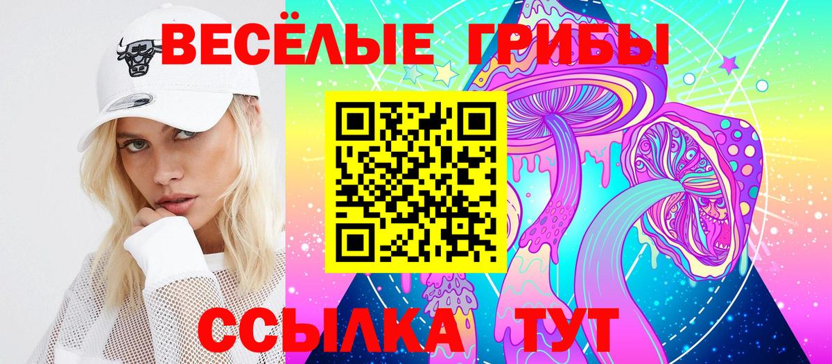 Галлюциногенные грибы Cubensis Губкинский