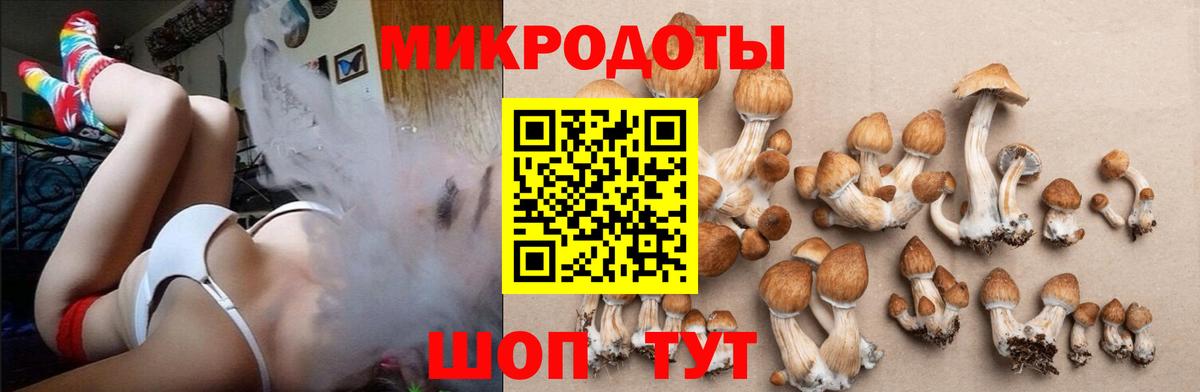 Галлюциногенные грибы мицелий  Вход с VPN  Губкинский  Галлюциногенные грибы прущие грибы 