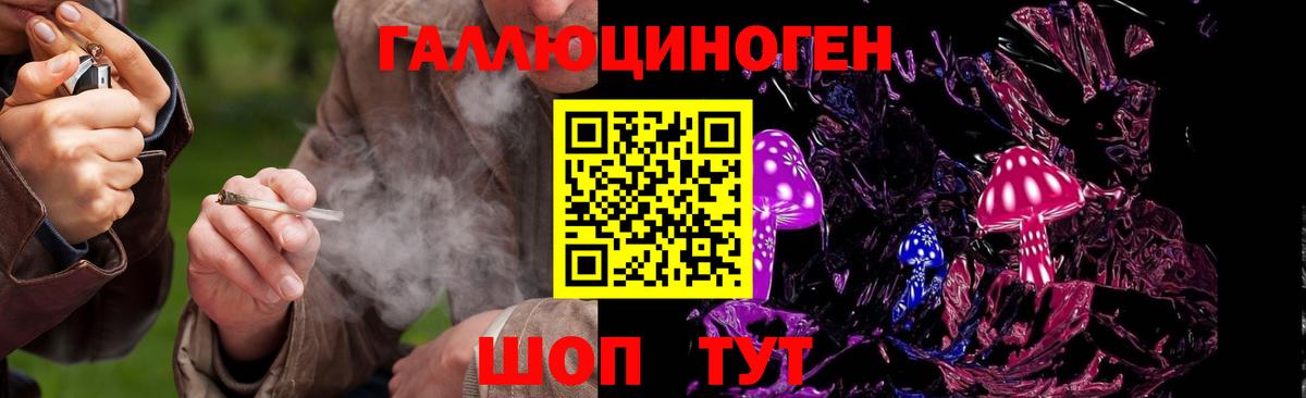 Меф Губкинский